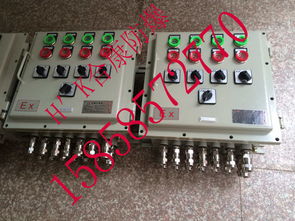 船用不銹鋼防爆配電箱,ccs船檢證書(shū)電控箱